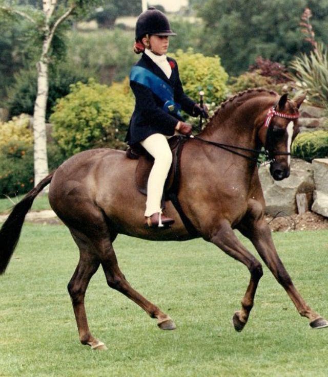 Ardenhall Royal Secret - 12.2hh Show Pony